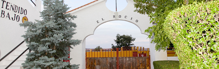 FINCA NUESTRA SEÑORA DEL ROCIO