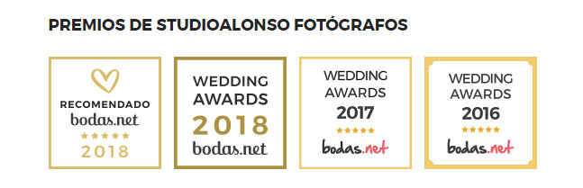 premio wedding awards bodasnet  mejores fotografos de boda